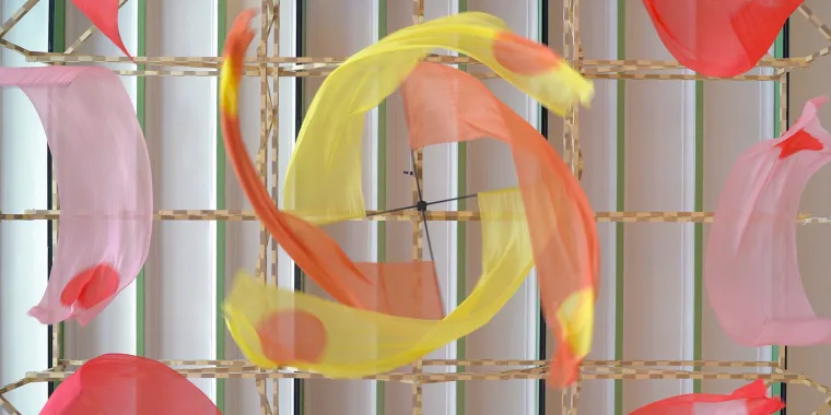 Fanion Locomotion