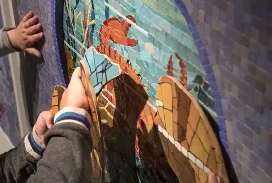 Un petit crabe au musée