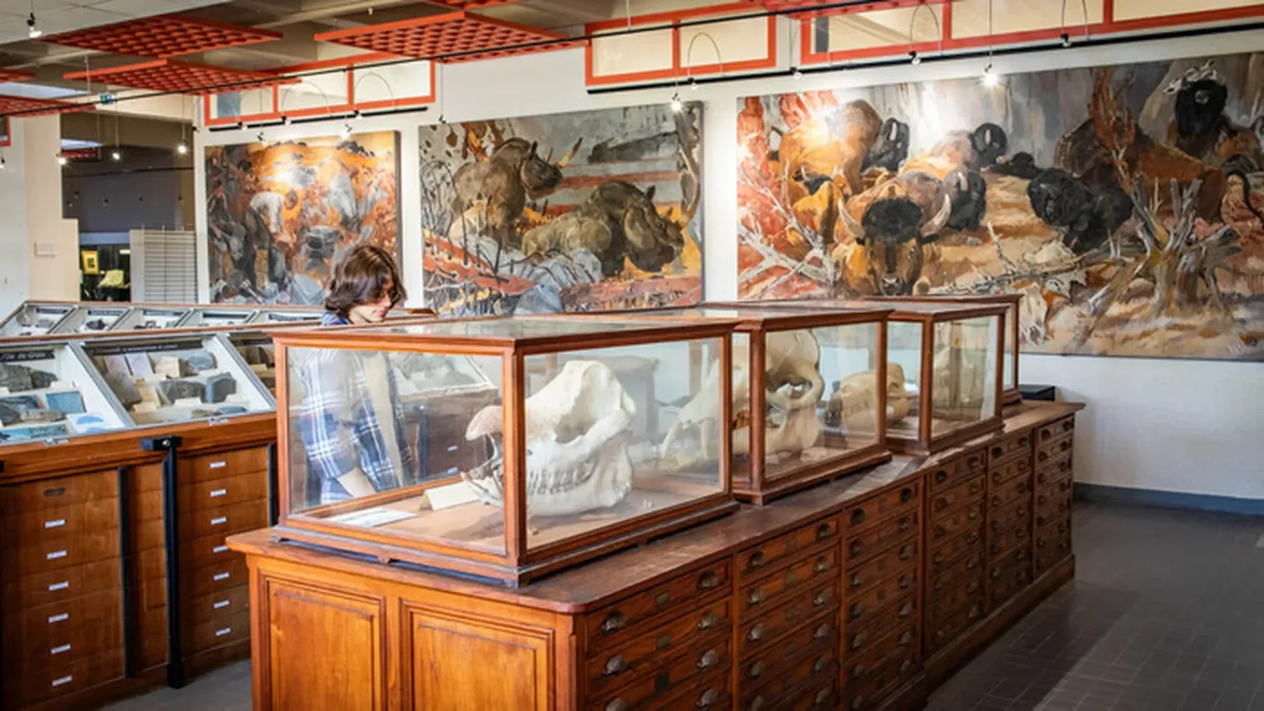 Journée européenne du patrimoine et du matrimoine à l’Université de Rennes
