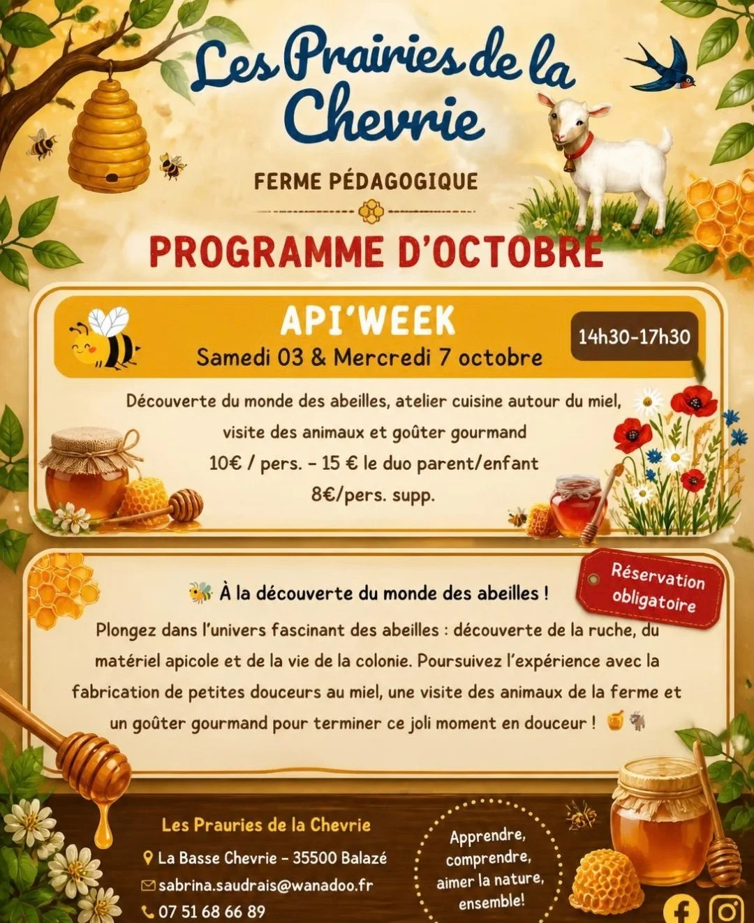 Api’Week :  À la découverte du monde des abeilles