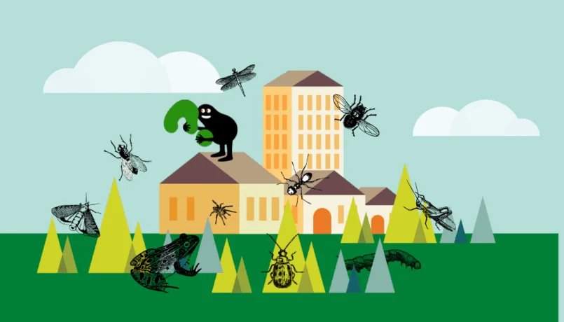 Mini-stage – La ville de demain !