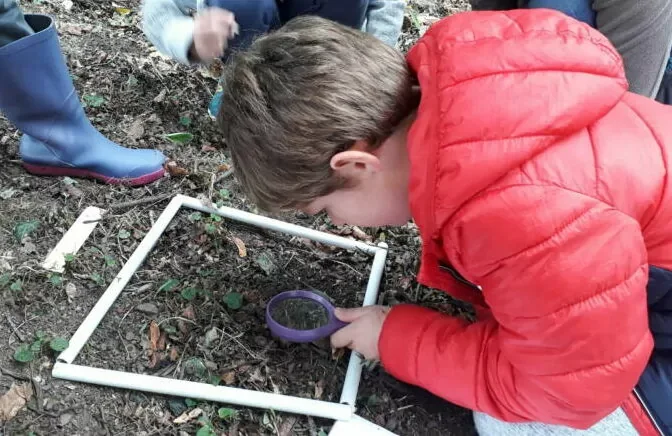 Mini-stage – La biodiversité à notre porte