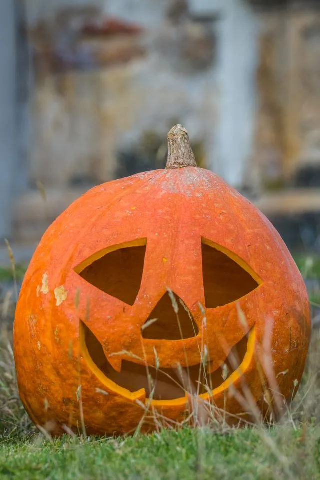 Atelier citrouille d’Halloween à la Ferme de la Réauté