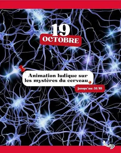Les mystères du cerveau à Grand Quartiere