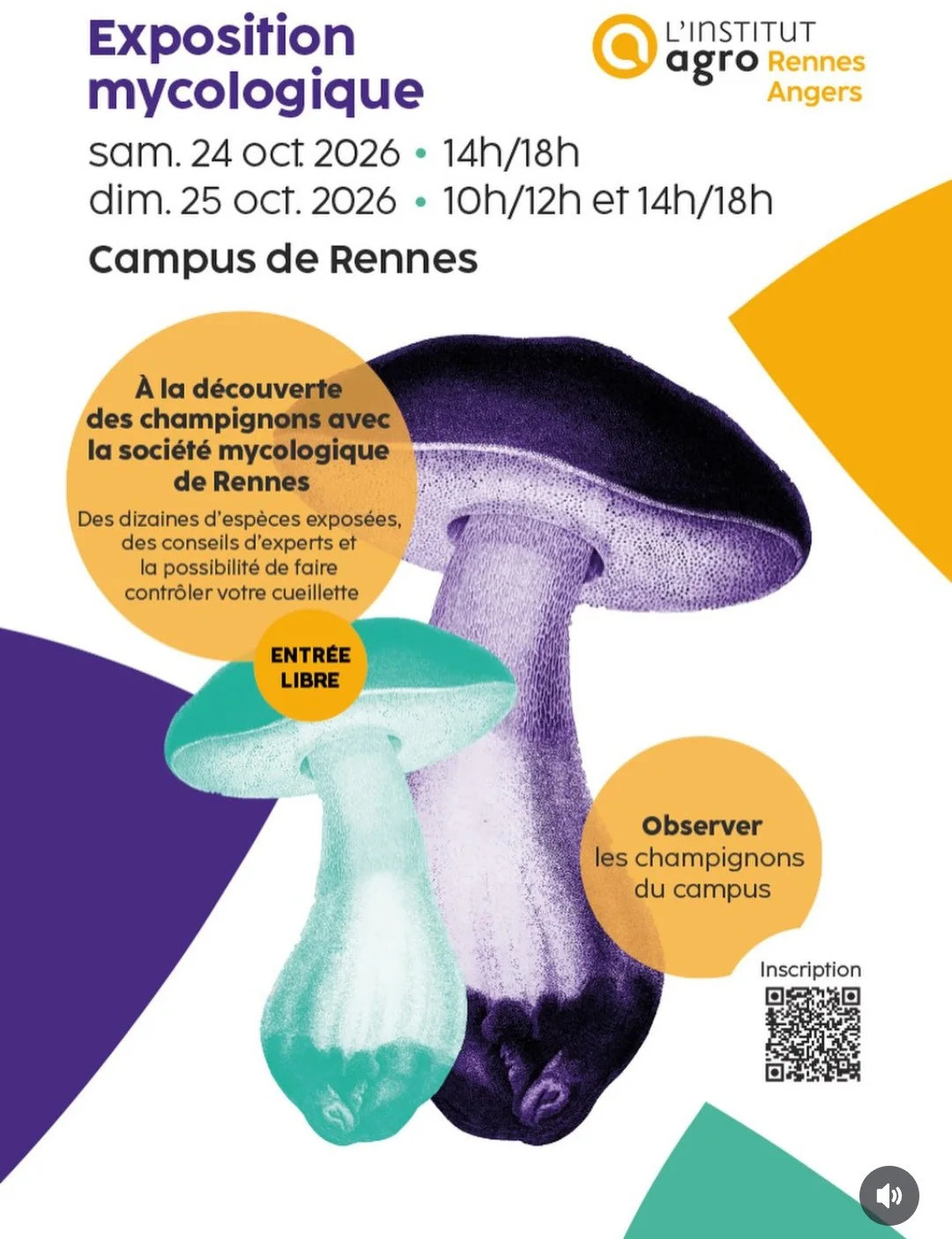 Exposition mycologique : à la découverte des champignons