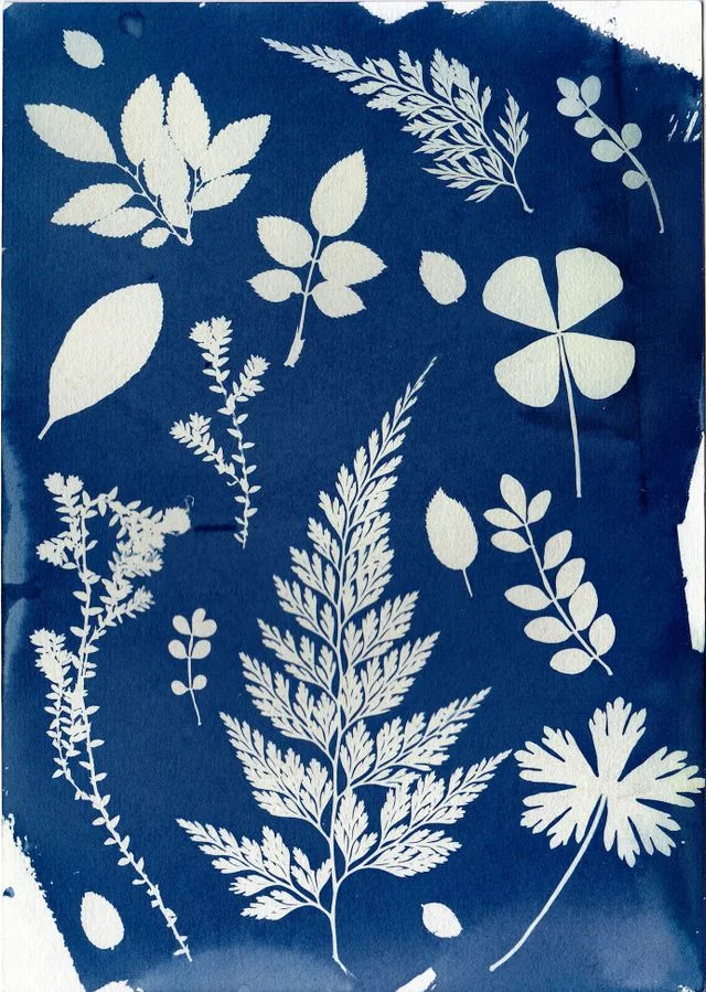 Atelier cyanotype et animations enfants : à la découverte de Jinan à Rennes