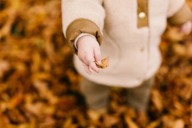 Que faire en octobre à Rennes avec les enfants ?