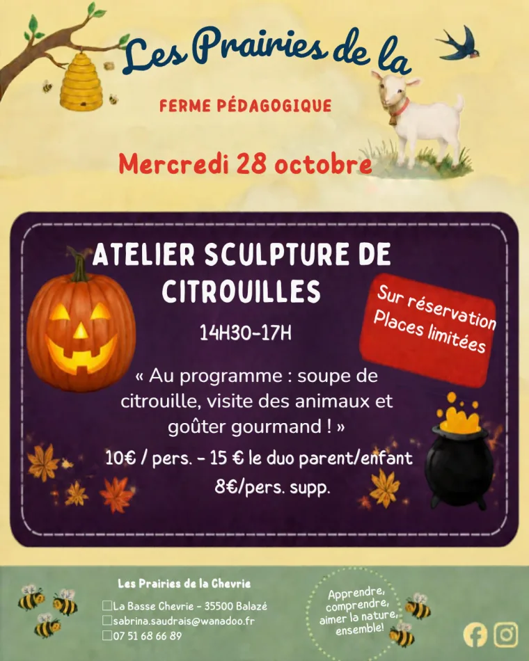 Sculpture de courges