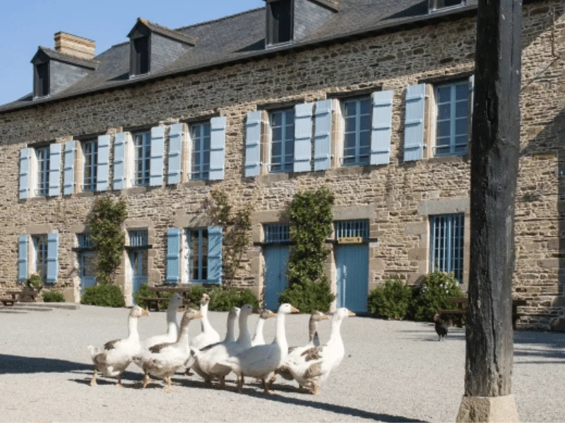 Écomusée de la Bintinais : une ferme et un musée à découvrir avec les enfants à Rennes