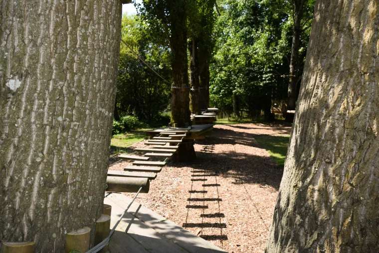 Jardin Ondine et le Dragon : un petit parcours d’aventure gratuit près de Rennes