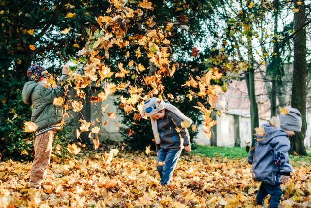 Idées sorties cet automne